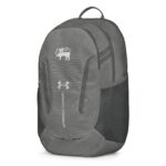 Versatile Sri Lankan Backpacks with Flag Lion design for everyday use