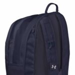 Sri Lankan Flag Lion Backpack for students and travellers